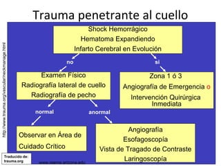 www.reeme.arizona.edu
Trauma penetrante al cuello
http://www.trauma.org/vascular/neckmanage.html
Shock Hemorrágico
Hematoma Expandiendo
Infarto Cerebral en Evolución
sino
Examen Físico
Radiografía lateral de cuello
Radiografía de pecho
Zona 1 ó 3
Angiografía de Emergencia o
Intervención Quirúrgica
Inmediata
normal anormal
Observar en Área de
Cuidado Crítico
Angiografía
Esofagoscopía
Vista de Tragado de Contraste
LaringoscopíaTraducido de:
trauma.org www.reeme.arizona.edu
 
