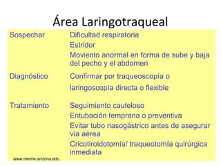 www.reeme.arizona.edu
Sospechar Dificultad respiratoria
Estridor
Moviento anormal en forma de sube y baja
del pecho y el abdomen
Diagnóstico Confirmar por traqueoscopía o
laringoscopía directa o flexible
Tratamiento Seguimiento cauteloso
Entubación temprana o preventiva
Evitar tubo nasogástrico antes de asegurar
vía aérea
Cricotiroidotomía/ traqueotomía quirúrgica
inmediata
Área Laringotraqueal
www.reeme.arizona.edu
 