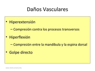 www.reeme.arizona.edu
Daños Vasculares
• Hiperextensión
– Compresión contra los procesos transversos
• Hiperflexión
– Compresión entre la mandíbula y la espina dorsal
• Golpe directo
 