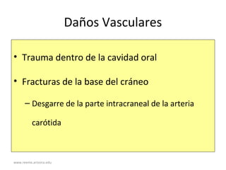 www.reeme.arizona.edu
Daños Vasculares
• Trauma dentro de la cavidad oral
• Fracturas de la base del cráneo
– Desgarre de la parte intracraneal de la arteria
carótida
 