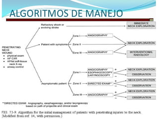Trauma cuello 