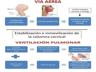 Trauma cuello 