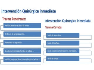 Trauma cuello 