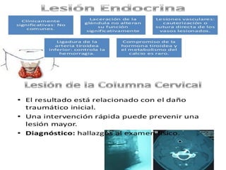 Trauma cuello 