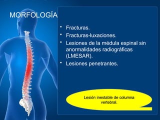 trauma de columna vertebral y medula espinal -160531221729.pptx