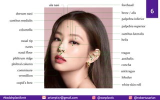 #bedahplastikntt @robertusarian
arian9677@gmail.com @eanplastic
6
forehead
brow / alis
palpebra superior
palpebra inferior
canthus lateralis
dorsum nasi
nasal tip
ala nasi
columella
vermillion
white skin roll
nasal floor
nares
philtrum ridge
philtral column
cupid’s bow
helix
antihelix
tragus
antitragus
lobulus
canthus medialis
concha
commisure
 