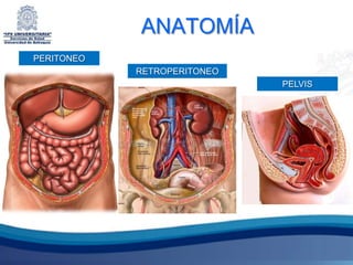 ANATOMÍA
PERITONEO
            RETROPERITONEO
                             PELVIS
 