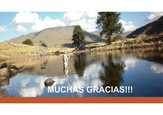MUCHAS GRACIAS!!!
 