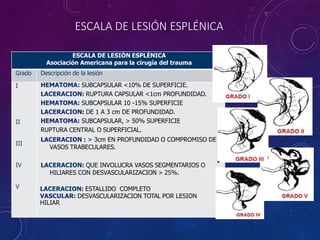 ESCALA DE LESIÓN ESPLÉNICA
ESCALA DE LESIÓN ESPLÉNICA
Asociación Americana para la cirugía del trauma
Grado Descripción de la lesión
I
II
III
IV
V
HEMATOMA: SUBCAPSULAR <10% DE SUPERFICIE.
LACERACION: RUPTURA CAPSULAR <1cm PROFUNDIDAD.
HEMATOMA: SUBCAPSULAR 10 -15% SUPERFICIE
LACERACION: DE 1 A 3 cm DE PROFUNDIDAD.
HEMATOMA: SUBCAPSULAR, > 50% SUPERFICIE
RUPTURA CENTRAL O SUPERFICIAL.
LACERACION : > 3cm EN PROFUNDIDAD O COMPROMISO DE
VASOS TRABECULARES.
LACERACION: QUE INVOLUCRA VASOS SEGMENTARIOS O
HILIARES CON DESVASCULARIZACION > 25%.
LACERACION: ESTALLIDO COMPLETO
VASCULAR: DESVASCULARIZACION TOTAL POR LESION
HILIAR
 
