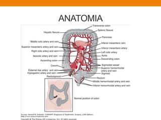 ANATOMIA
 