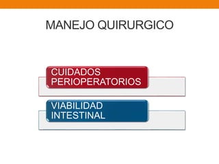 CUIDADOS
PERIOPERATORIOS
VIABILIDAD
INTESTINAL
MANEJO QUIRURGICO
 