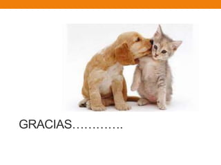 GRACIAS………….
 