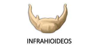 INFRAHIOIDEOS
 