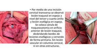 • Por medio de una incisión
cervical transversa se observó
lesión traqueal en espejo a
nivel del tercer y cuarto anillo
y lesión esofágica en espejo.
Se coloca cánula de
traqueosotomia en orificio
anterior de lesión traqueal,
desbridando bordes de
lesiones esofágicas y cerrando
de forma primaria. Sin lesión
vascular en columna cervical,
ni en otras estructuras.
 