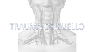 Trauma de Cuello - Anatomía de Cuello - Anatomia de Cuello
