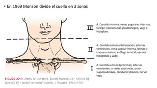 • En 1969 Monson divide el cuello en 3 zonas
A. Carotida común (proximal), arterias
vertebrales, arterias subclavias, unión
yugulosubclavia, conducto torácico, nervio
vago
A. Carotida común y bifurcación, arterias
vertebrales, vena yugular interna, laringe y
traquea cervical, esófago cervical, nervios
hipoglosos y vago.
A. Carotida interna, venas yugulares internas,
faringe, nervio facial, glosofaríngeo, vago e
hipogloso.
 