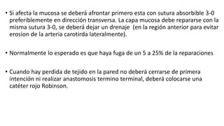 • Si afecta la mucosa se deberá afrontar primero esta con sutura absorbible 3-0
preferiblemente en dirección transversa. La capa mucosa debe repararse con la
misma sutura 3-0, se deberá dejar un drenaje (en la región anterior para evitar
erosion de la arteria carotirda lateralmente).
• Normalmente lo esperado es que haya fuga de un 5 a 25% de la reparaciones
• Cuando hay perdida de tejido en la pared no deberá cerrarse de primera
intención ni realizar anastomosis termino terminal, deberá colocarse una
catéter rojo Robinson.
 