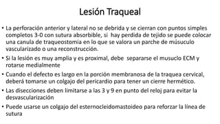 Lesión Traqueal
• La perforación anterior y lateral no se debrida y se cierran con puntos simples
completos 3-0 con sutura absorbible, si hay perdida de tejido se puede colocar
una canula de traqueostomia en lo que se valora un parche de músuculo
vascularizado o una reconstrucción.
• Si la lesión es muy amplia y es proximal, debe separarse el musuclo ECM y
rotarse medialmente
• Cuando el defecto es largo en la porción membranosa de la traquea cervical,
deberá tomarse un colgajo del pericardio para tener un cierre hermético.
• Las disecciones deben limitarse a las 3 y 9 en punto del reloj para evitar la
desvascularización
• Puede usarse un colgajo del esternocleidomastoideo para reforzar la línea de
sutura
 