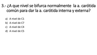 3.- ¿A que nivel se bifurca normalmente la a. carótida
común para dar la a. carótida interna y externa?
a) A nivel de C1
b) A nivel de C7
c) A nivel de C4
d) A nivel de C5
 