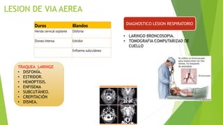 DIAGNOSTICO LESION RESPIRATORIO
TRAQUEA LARINGE
• DISFONÍA.
• ESTRIDOR.
• HEMOPTISIS.
• ENFISEMA
• SUBCUTÁNEO.
• CREPITACIÓN
• DISNEA.
• LARINGO BRONCOSOPIA.
• TOMOGRAFIA COMPUTARIZAD DE
CUELLO
 