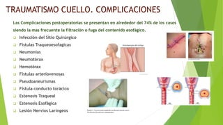 TRAUMATISMO CUELLO. COMPLICACIONES
Las Complicaciones postoperatorias se presentan en alrededor del 74% de los casos
siendo la mas frecuente la filtración o fuga del contenido esofágico.
 Infección del Sitio Quirúrgico
 Fistulas Traqueoesofagicas
 Neumonías
 Neumotórax
 Hemotórax
 Fistulas arteriovenosas
 Pseudoaneurismas
 Fistula conducto torácico
 Estenosis Traqueal
 Estenosis Esofágica
 Lesión Nervios Laríngeos
 