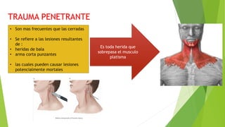 TRAUMA PENETRANTE
• Son mas frecuentes que las cerradas
• Se refiere a las lesiones resultantes
de :
• heridas de bala
• arma corta punzantes
• las cuales pueden causar lesiones
potencialmente mortales
Es toda herida que
sobrepasa el musculo
platisma
 