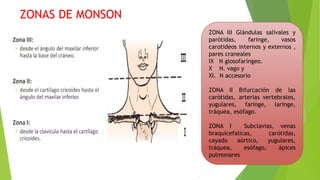ZONAS DE MONSON
ZONA III Glándulas salivales y
parótidas, faringe, vasos
carotideos internos y externos ,
pares craneales
IX N glosofaríngeo.
X N. vago y
XI. N accesorio
ZONA II Bifurcación de las
carótidas, arterias vertebrales,
yugulares, faringe, laringe,
tráquea, esófago.
ZONA I Subclavias, venas
braquicefalicas, carótidas,
cayado aórtico, yugulares,
tráquea, esófago, ápices
pulmonares
 