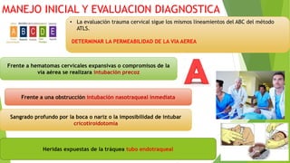 MANEJO INICIAL Y EVALUACION DIAGNOSTICA
• La evaluación trauma cervical sigue los mismos lineamientos del ABC del método
ATLS.
DETERMINAR LA PERMEABILIDAD DE LA VIA AEREA
Frente a hematomas cervicales expansivas o compromisos de la
vía aérea se realizara intubación precoz
Frente a una obstrucción intubación nasotraqueal inmediata
Sangrado profundo por la boca o nariz o la imposibilidad de intubar
cricotiroidotomia
Heridas expuestas de la tráquea tubo endotraqueal
 