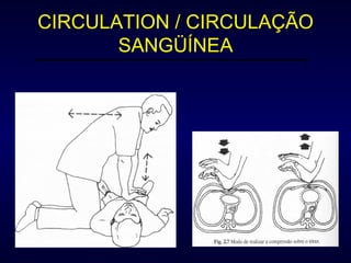 CIRCULATION / CIRCULAÇÃO SANGÜÍNEA 