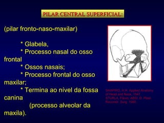 (pilar fronto-naso-maxilar) * Glabela, * Processo nasal do osso  frontal  * Ossos nasais; * Processo frontal do osso  maxilar; * Termina ao nível da fossa  canina    (processo alveolar da  maxila). PILAR CENTRAL SUPERFICIAL: SHAPIRO, H.H. Applied Anatomy of Head and Neck, 1947. STURLA, Flávio; ABSI, D. Plast. Reconstr. Surg. 1980. 