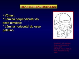 PILAR CENTRAL PROFUNDO: SHAPIRO, H.H. Applied Anatomy of Head and Neck, 1947. STURLA, Flávio; ABSI, D. Plast. Reconstr. Surg. 1980. *  Vômer; * Lâmina perpendicular do osso etmóide; * Lâmina horizontal do osso palatino. 
