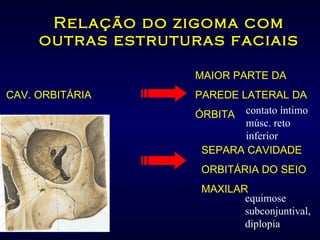 Relação do zigoma com outras estruturas faciais MAIOR PARTE DA  CAV. ORBITÁRIA   PAREDE LATERAL DA ÓRBITA contato íntimo músc. reto inferior   SEPARA CAVIDADE ORBITÁRIA DO SEIO MAXILAR equimose subconjuntival, diplopia 