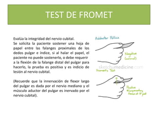 TEST DE FROMET
Evalúa la integridad del nervio cubital.
Se solicita la paciente sostener una hoja de
papel entre las falanges proximales de los
dedos pulgar e índice, si al halar el papel, el
paciente no puede sostenerlo, o debe requerir
a la flexión de la falange distal del pulgar para
hacerlo, la prueba es positiva y es indicio de
lesión al nervio cubital.
(Recuerde que la innervación de flexor largo
del pulgar es dada por el nervio mediano y el
músculo aductor del pulgar es inervado por el
nervio cubital).
 