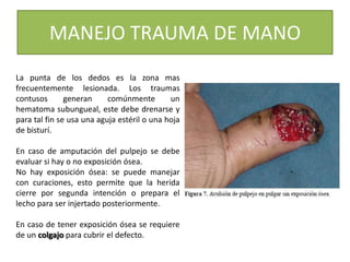 MANEJO TRAUMA DE MANO
La punta de los dedos es la zona mas
frecuentemente lesionada. Los traumas
contusos generan comúnmente un
hematoma subungueal, este debe drenarse y
para tal fin se usa una aguja estéril o una hoja
de bisturí.
En caso de amputación del pulpejo se debe
evaluar si hay o no exposición ósea.
No hay exposición ósea: se puede manejar
con curaciones, esto permite que la herida
cierre por segunda intención o prepara el
lecho para ser injertado posteriormente.
En caso de tener exposición ósea se requiere
de un colgajo para cubrir el defecto.
 
