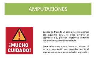 AMPUTACIONES
Cuando se trate de un caso de sección parcial
con isquemia distal, se debe devolver el
segmento a su posición anatómica, evitando
torsión e inmovilizando con férula.
No se debe nunca convertir una sección parcial
en una amputación por pequeño que se el
segmento que mantiene unidos los segmentos.
 