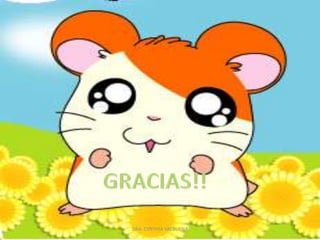 AVULSIÓN(EXARTICULACIÓN)DRA. CYNTHIA VALBUENA