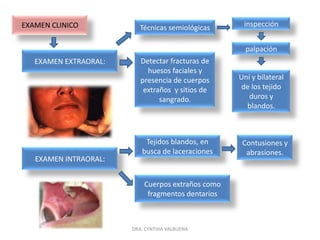 Cuando un paciente ha sufrido un trauma dental es difícil diagnosticar el estado de la pulpa y los tejidos periapicales.