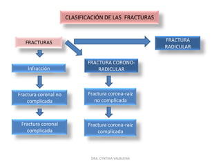 EVALUACIONHISTORIA DEL ACCIDENTEIndagar datos del paciente o acudiente.¿Cómo? ¿Dónde? ¿Cuándo?Ubicación, tejidos involucrados, posible contaminación de las heridas y tiempo transcurrido del trauma.Así determinar el plan de tratamiento y el pronostico.DRA. CYNTHIA VALBUENA