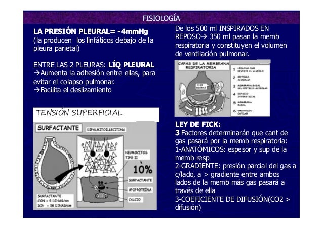 grupos ganglionares toracicos traumas toracicos grupos ganglionares toracicos traumas toracicos
