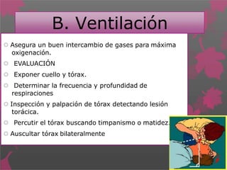  Asegura un buen intercambio de gases para máxima
oxigenación.
 EVALUACIÓN
 Exponer cuello y tórax.
 Determinar la frecuencia y profundidad de
respiraciones
 Inspección y palpación de tórax detectando lesión
torácica.
 Percutir el tórax buscando timpanismo o matidez.
 Auscultar tórax bilateralmente
B. Ventilación
 