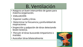 • Asegura un buen intercambio de gases para
máxima oxigenación.
• EVALUACIÓN
• Exponer cuello y tórax.
• Determinar la frecuencia y profundidad de
respiraciones
• Inspección y palpación de tórax detectando
lesión torácica.
• Percutir el tórax buscando timpanismo o
matidez.
• Auscultar tórax bilateralmente
B. Ventilación
 