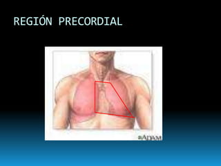 REGIÓN PRECORDIAL