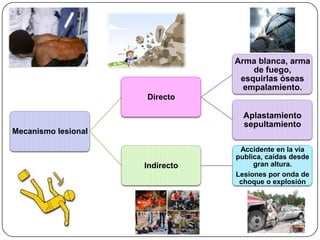 Mecanismo lesional
Directo
Arma blanca, arma
de fuego,
esquirlas óseas
empalamiento.
Aplastamiento
sepultamiento
Indirecto
Accidente en la vía
publica, caídas desde
gran altura.
Lesiones por onda de
choque o explosión
 