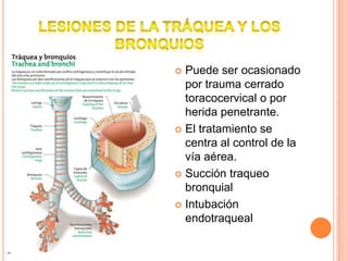  Puede ser ocasionado
por trauma cerrado
toracocervical o por
herida penetrante.
 El tratamiento se
centra al control de la
vía aérea.
 Succión traqueo
bronquial
 Intubación
endotraqueal
 