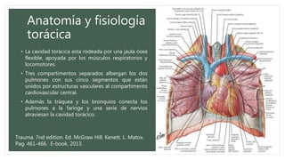 Anatomía y fisiología
torácica
• La cavidad torácica esta rodeada por una jaula ósea
flexible, apoyada por los músculos respiratorios y
locomotores.
• Tres compartimentos separados albergan los dos
pulmones con sus cinco segmentos que están
unidos por estructuras vasculares al compartimento
cardiovascular central.
• Además la tráquea y los bronquios conecta los
pulmones a la faringe y una serie de nervios
atraviesan la cavidad torácico.
Trauma. 7nd edition. Ed. McGraw Hill. Kenett. L. Matox.
Pag. 461-466. E-book. 2013.
 