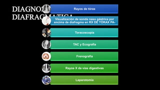 DIAGNOSTICO DE ROPTURA
DIAFRAGMATICA.
Rayos de tórax
Visualización de sonda naso gástrica por
encima de diafragma en RX DE TÓRAX PA-
Toracoscopia
TAC y Ecografía
Frenografía
Rayos X de vías digestivas
Laparotomia
 