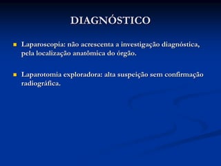 DIAGNÓSTICO

Laparoscopia: não acrescenta a investigação diagnóstica,
pela localização anatômica do órgão.

Laparotomia exploradora: alta suspeição sem confirmação
radiográfica.
 