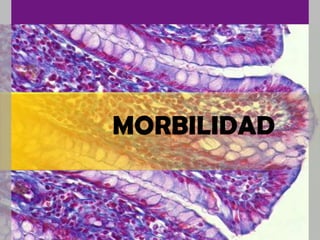 MORBILIDAD
 