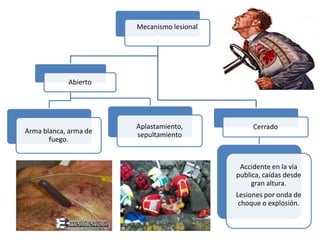 Mecanismo lesional
Abierto
Arma blanca, arma de
fuego.
Aplastamiento,
sepultamiento
Cerrado
Accidente en la vía
publica, caídas desde
gran altura.
Lesiones por onda de
choque o explosión.
 