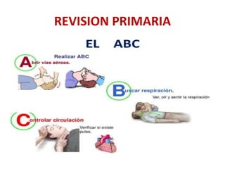 REVISION PRIMARIA
 